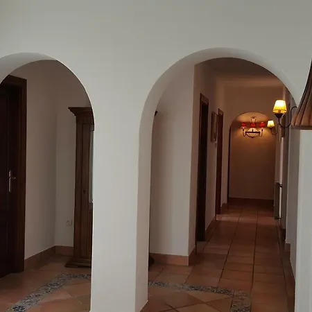 Cana Marta * Nuestra Señora de Jesús